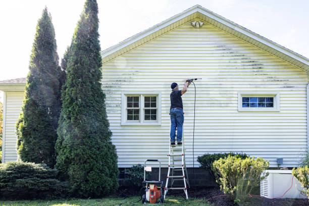 Best Spring Cleaning  in Pleasureville, PA